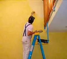 aExperiência em Pintor em Campos dos Goytacazes